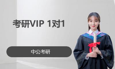 考研VIP 1对1