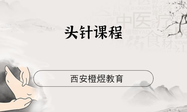 西安针灸师培训班