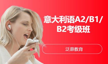 意大利语A2/B1/B2考级班