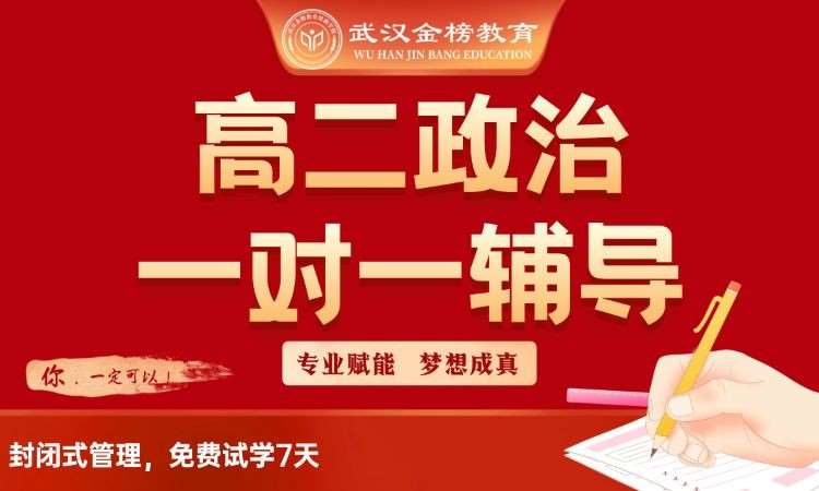 高二政治一对一规划