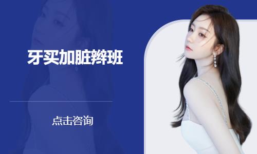 牙买加脏辫班