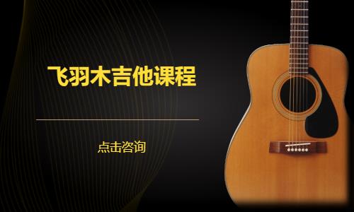 飞羽木吉他课程