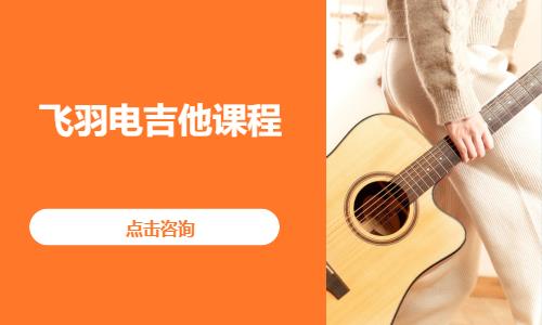 飞羽电吉他课程