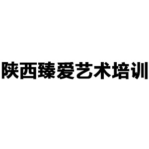 陕西臻爱艺术培训