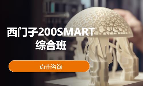 西门子200SMART综合班