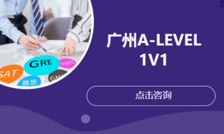 广州A-Level1v1培训