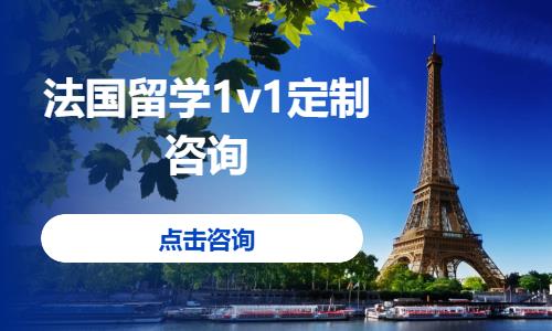 法国留学1v1定制咨询
