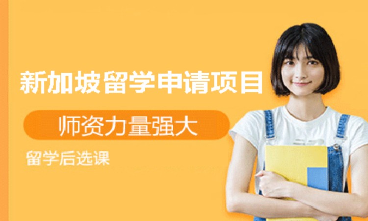 新加坡留学1v1咨询