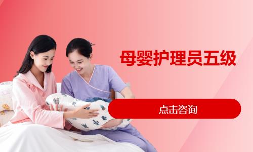 母婴护理员五级