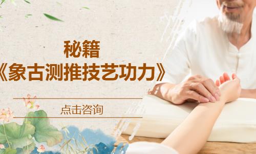 秘籍《象古测推技艺功力》