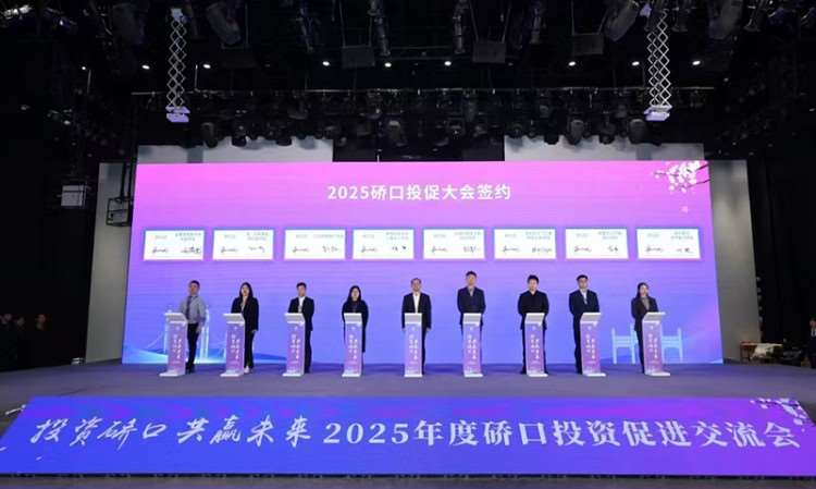 硚口重点发展企业