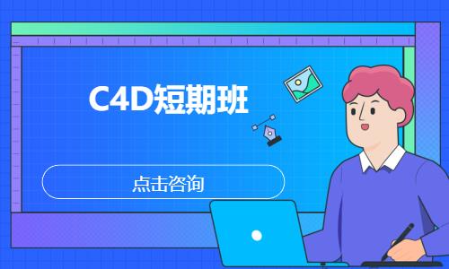 C4D短期班