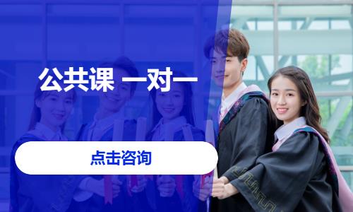 公共课 一对一
