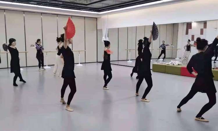 成人舞蹈