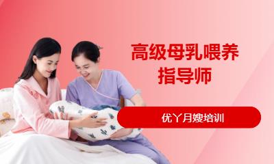 高级母乳喂养指导师