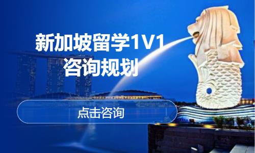 新加坡留学1V1咨询规划