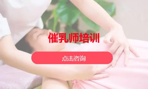 催乳师培训