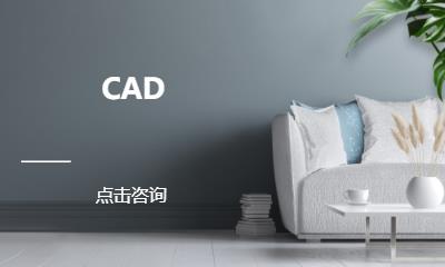 东莞****学校（未认证机构）