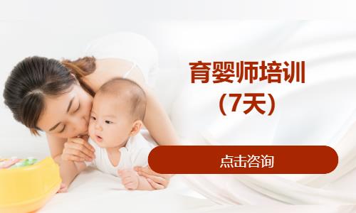 育婴师培训（7天）