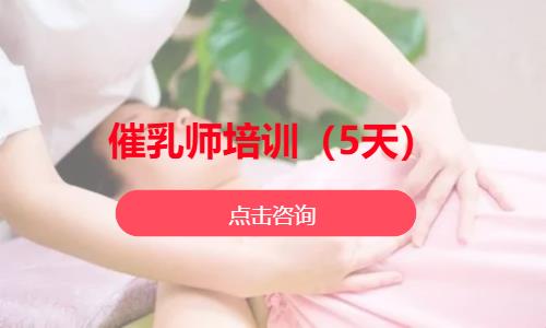 催乳师培训（5天）