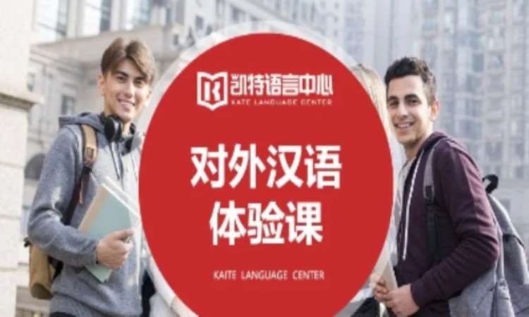对外汉语课