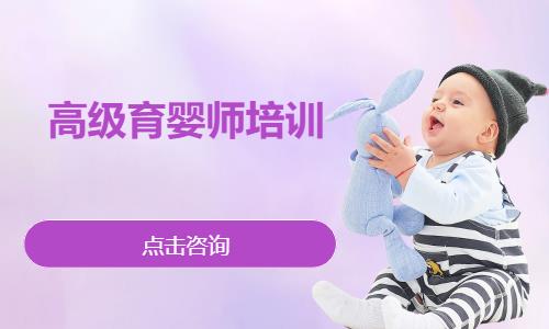 高级育婴师培训
