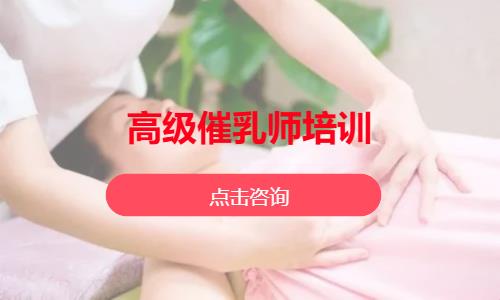 高级催乳师培训