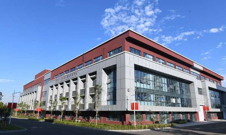 学校环境