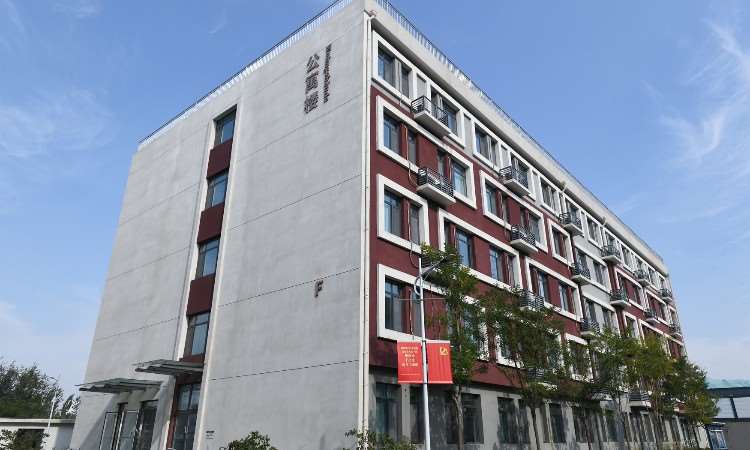 学校环境