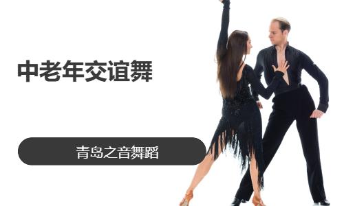 中老年交谊舞
