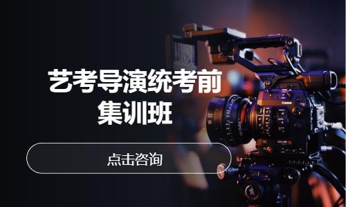 艺考导演统考前集训班