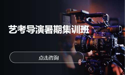 艺考导演暑期集训班