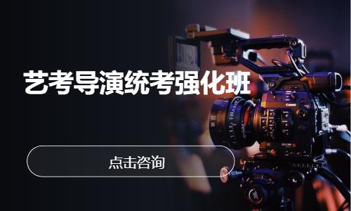 艺考导演统考强化班