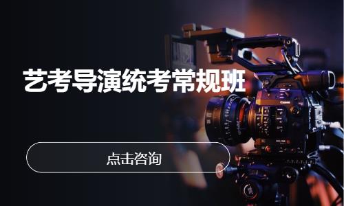 艺考导演统考常规班