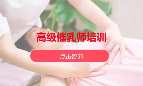 高级催乳师培训