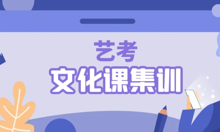 艺考文化课集训