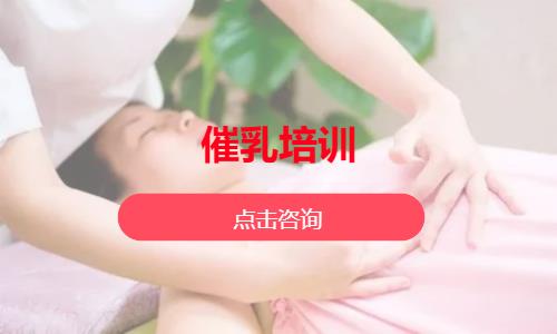 催乳培训