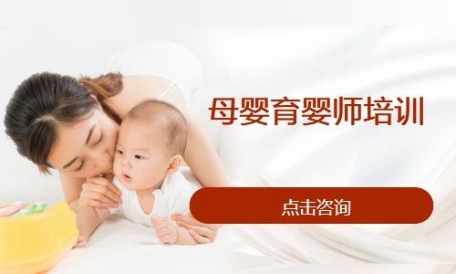 母婴育婴师培训