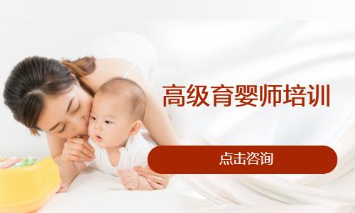 高级育婴师培训