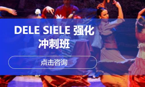 DELE SIELE 强化冲刺班