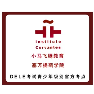 小马飞腾教育培训