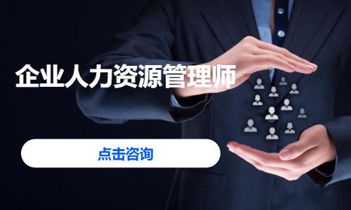 企业人力资源管理师
