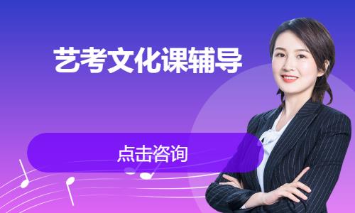 艺考生文化课培训