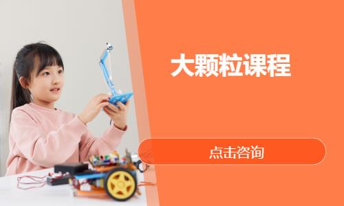大颗粒课程