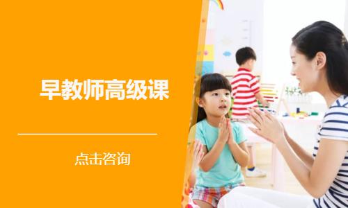 早教师高级课