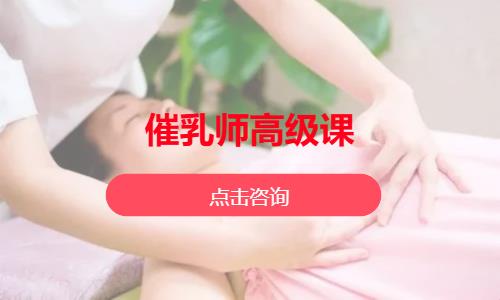 催乳师高级课
