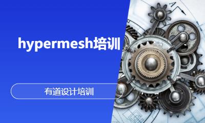 hypermesh培训