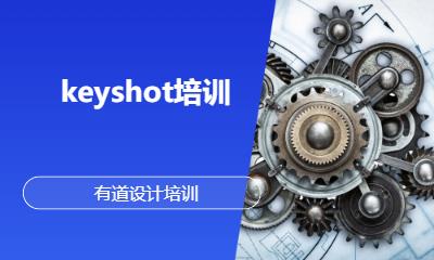 keyshot培训