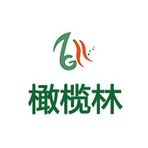 上海橄榄林艺考