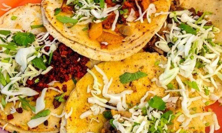 墨西哥塔可培训